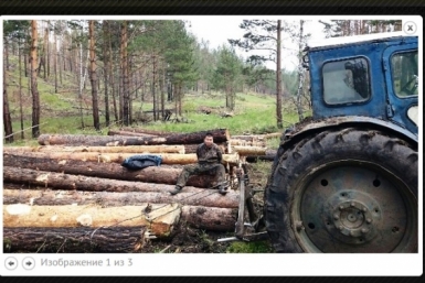 Компания &quotчерных лесорубов&quot под Иркутском свалила леса на 300 тысяч рублей скриншот с сайта ГУ МВД
