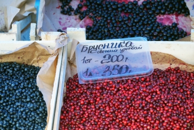 Брусника Владислав Костин, ИА IrkutskMedia