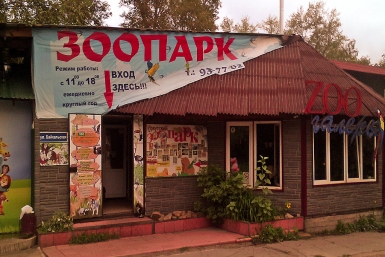 Зоогалерея Мария Оленникова, IrkutskMedia