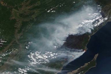 Мозаика снимков Terra MODIS за 1 сентября с наложенными теромоточками системы FIRMS  Фото с сайта www.greenpeace.org