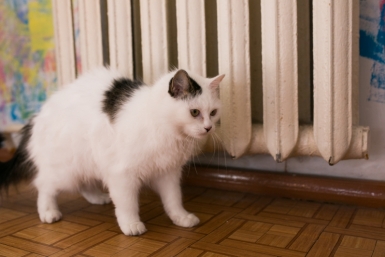 Тепла нет Кузора Валерия, PrimaMedia
