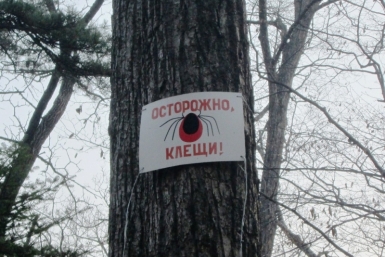 Клещи Лященко Александр, PrimaMedia