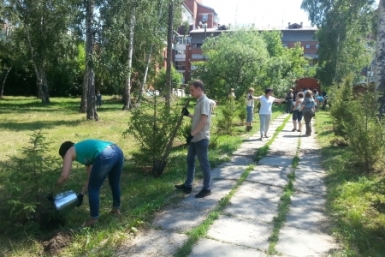 Аллея Правобережного округа появилась в Иркутске  Пресс-служба администрации Иркутска 