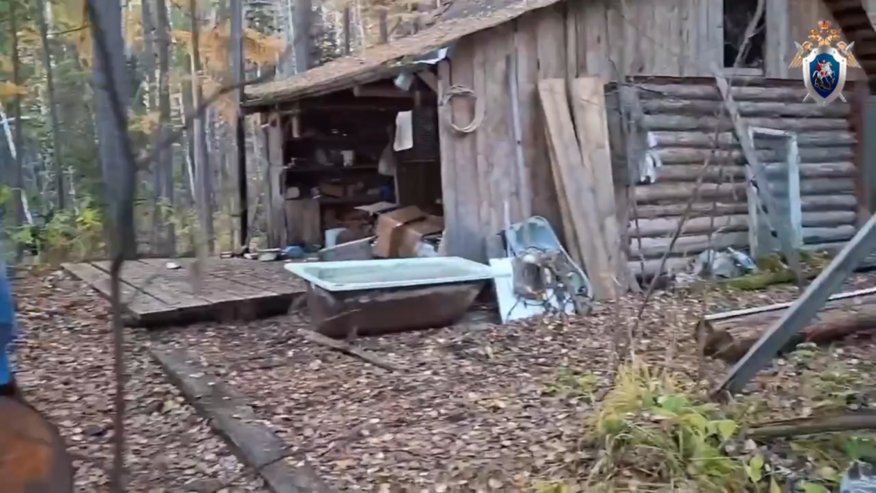 Появилось видео с места нападения медведей на охотника в Усть-Илимском районе
