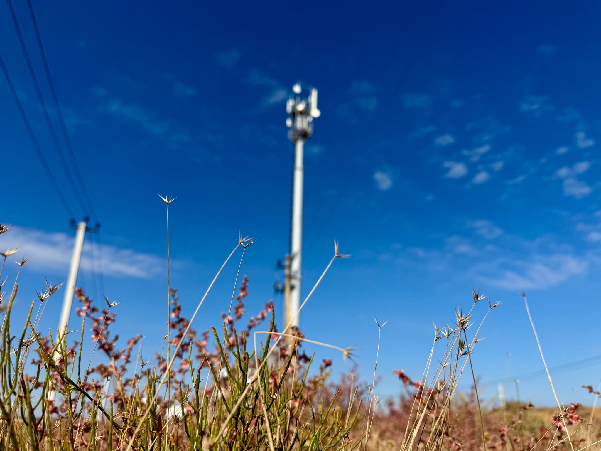 МТС остается лидером по числу коммерческих внедрений сетей Private LTE/5G Мария Иванова