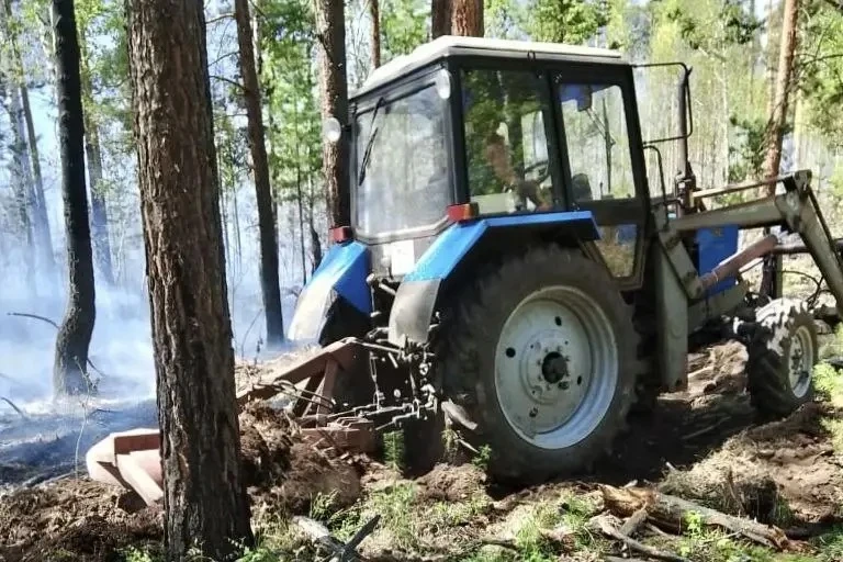 Противопожарное обустройство лесов Иркутской области выполнили на 100% досрочно Пресс-служба правительства Иркутской области