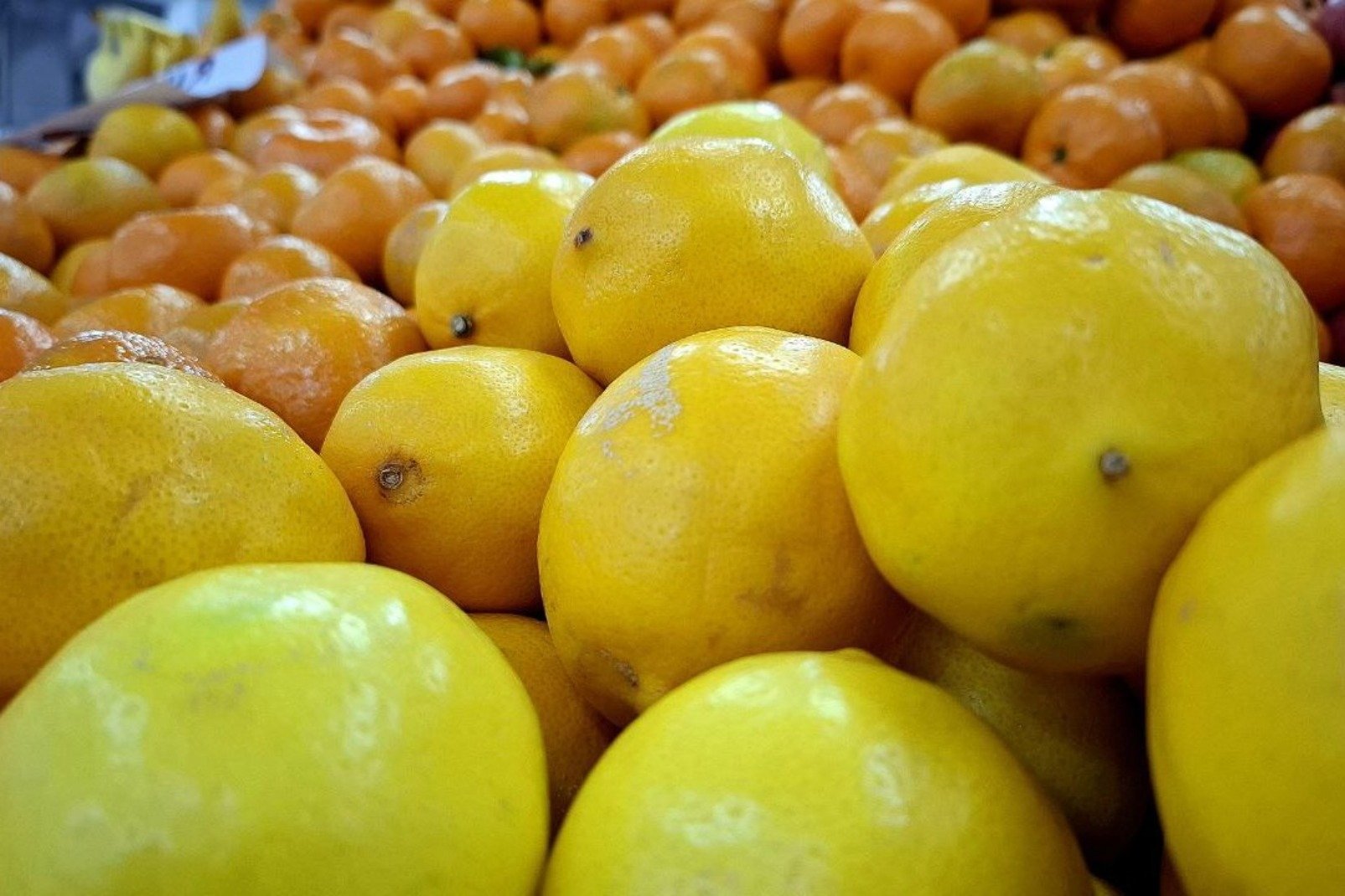лимон, фрукты, плоды, сад, урожай, магазин, продукты Мария Карева, ИА Stavropol.Media