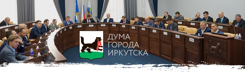 Дума Иркутска: итоги 2022
